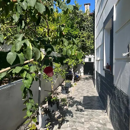 Nyaraló Zeytin Evi Edremit